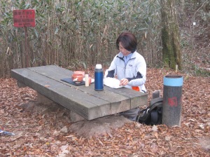 nodate field tea ceremony